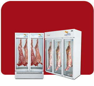 Buy Meat Hanging Chiller